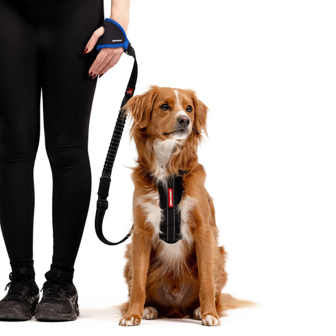 EZYDOG Handy Dog Leash - 48" - Red