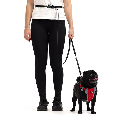 EZYDOG Road Runner Dog Leash - 7' - Orange