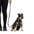 EZYDOG Vario Multifunction Dog Leash - 6' - Black