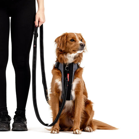 EZYDOG Vario Multifunction Dog Leash - 6' - Red