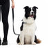 EzyDog Vario 4 Lite Dog Leash - 4' - Black