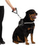 EZYDOG Mongrel Dog Leash - 12" - Black