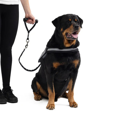 EZYDOG Mongrel Dog Leash Extension - Black