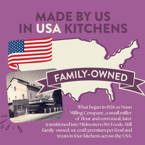 Earthborn Holistic Ancient Grains Dry Dog Food - Unrefined Roasted Lamb - 4lb Bag