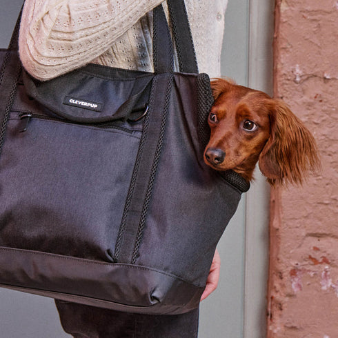 Cleverpup Transit Tote Dog Carrier - Medium - Graphite