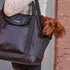 Cleverpup Transit Tote Dog Carrier - Medium - Graphite