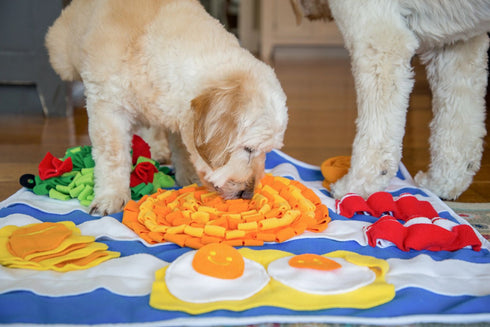 Breakfast Snuffle Mat - Poudre Pet and Feed Supply