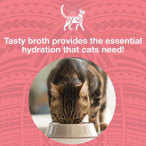 Koha Pure Shreds Wet Cat Food - Chicken & Salmon - 5.5oz Can