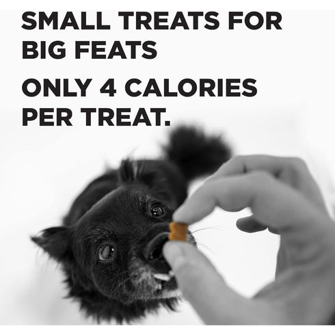 Bixbi Pocket Trainers Bacon Dog Treats 6oz - Poudre Pet & Feed Supply 3