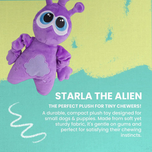 Snugarooz Venus The Starla Plush Dog Toy