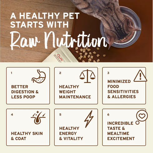 Primal Nuggets Frozen Raw Cat Food - Chicken & Salmon - 3lb Bag