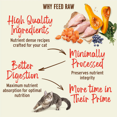 Primal Kibble In The Raw Freeze Dried Cat Food - Chicken - 1.5lb Bag