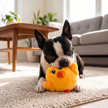 Kong Spring Snuzzles Kiddos Chicken Dog Toy - Small