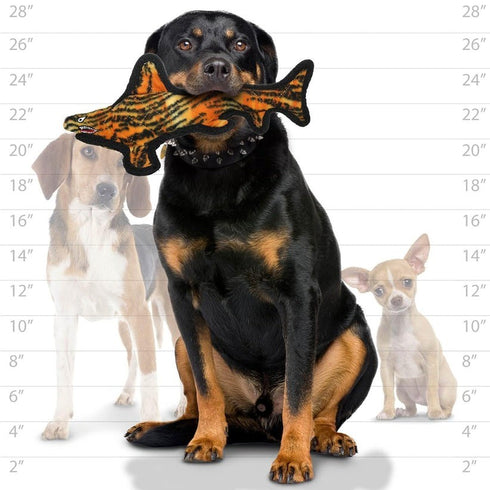 Tuffy's Ocean Creatures Tiger Shark Dog Toy