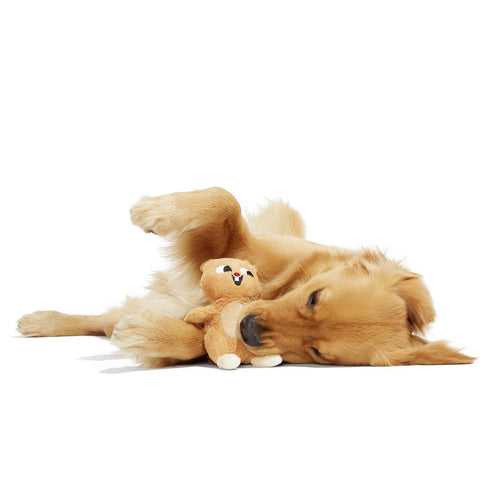 Bark Pearl Squirrel Plush Dog Toy