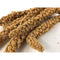 Millet Sprays 25lb - Poudre Pet & Feed Supply