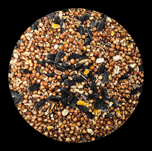 Kaylor of Colorado Country Blends Wild Bird Food 20lb