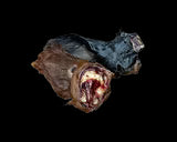 Ranch To Bowl Goat Ears With Hair - Individuals