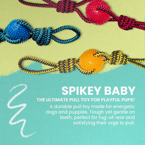 Snugarooz Spikey Baby Dog Toy - Assorted Colors