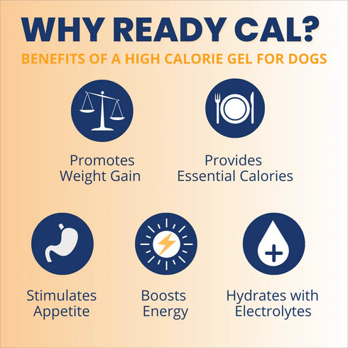 Under The Weather Ready Cal Plus Electrolytes Gel Dog Supplement - 3.5oz Tube