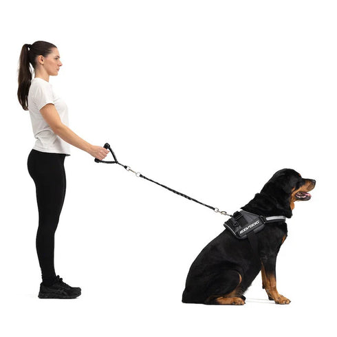 EZYDOG Mongrel Dog Leash Extension - Black