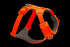 Ruffwear Front Range Dog Harness - MD - Blaze Orange