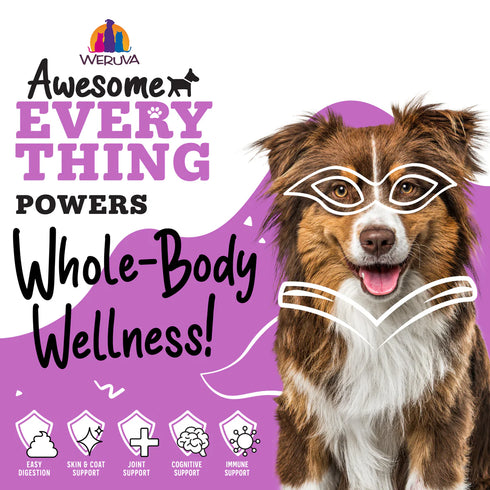 Weruva Awesome Everything Multicare Wet Dog Food - Beef & Red Rice with Veggies - 14oz Can