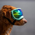 Rex Specs Dog Googles - Size X-Large - Mountainview Mint
