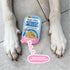 Weruva Meals 'n More Belly Belly Nice Digestive Support Wet Dog Food Variety Pack - 10 3.5oz Cups