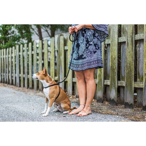 Harness Lead Black Reflective ML - Poudre Pet & Feed Supply 2