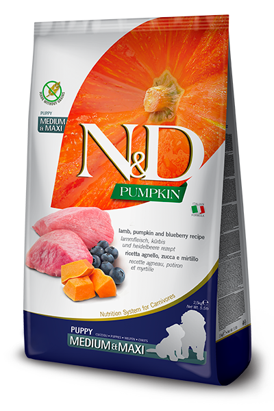 Farmina N&D Pumpkin Grain Fee Puppy Dry Dog Food - Lamb & Blueberry, Medium/Maxi Kibble - 5.5lb Bag