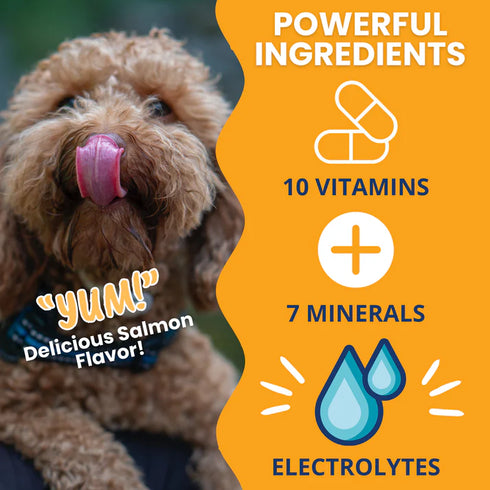 Under The Weather Ready Cal Plus Electrolytes Gel Dog Supplement - 3.5oz Tube