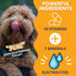 Under The Weather Ready Cal Plus Electrolytes Gel Dog Supplement - 3.5oz Tube