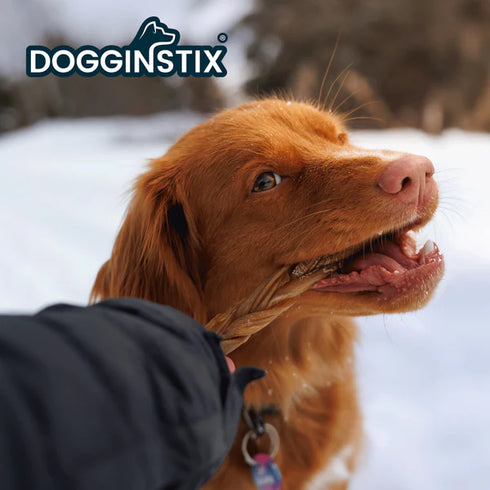 Dogginstix 6" Braided Lamb Collagen Dog Chew Treats