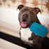 Messy Mutts Silicone Dual Sided Grooming Brush with Hand Strap