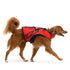 EZYDOG DFD X2 Boost Dog Life Jacket - X-Small 15-25lbs - Red