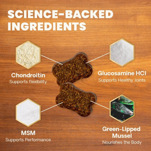 Vertiscience Ultimate Strength Healthy Hip & Joint Supplement For Dogs - Chews - 45 Count