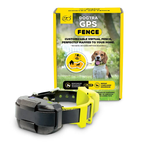 Dogtra GPS Fence Dog Collar