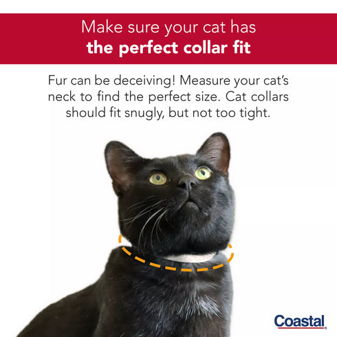 Costal Safe Cat Heartbreaker Adjustable Cat Collar with Breakaway Heart Buckle - 3/8" x 8-12" - Galaxy Nirvana