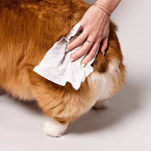 Natural Dog Company Dog Grooming Wipes - 50 Count