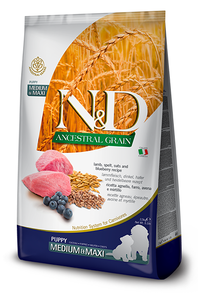 Farmina N&D Ancestral Grain Puppy Dry Dog Food - Lamb & Blueberry, Medium/Maxi Kibble - 5.5lb Bag