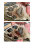 Lucky Pup Paw Butter For Dogs