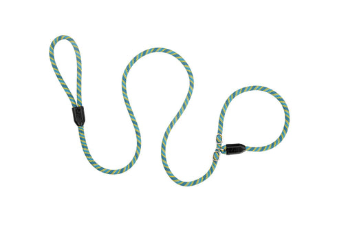 RC Pets Slip Rope Dog Leash - 1/2" x 5" - Teal