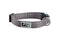 RC Pets Primary Dog Collar - S 3/4" - Charcoal