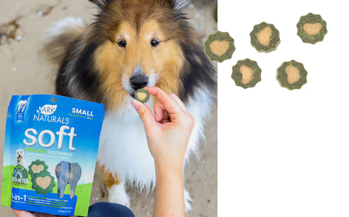 Ark Naturals Soft Brushless Dog Toothpaste - Large - 18oz Pouch