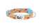 RC Pets Standard Dog Collar - S 3/4" - Popsicles