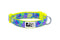 RC Pets Standard Dog Collar - L 1" - Citrus
