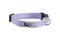 RC Pets Primary Dog Collar - S 3/4" - Lilac