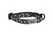 RC Pets Kitty Breakaway Cat Collar - One Size 8-10" - Daisies