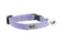 RC Pets Kitty Breakaway Cat Collar - One Size 8-10" - Lilac